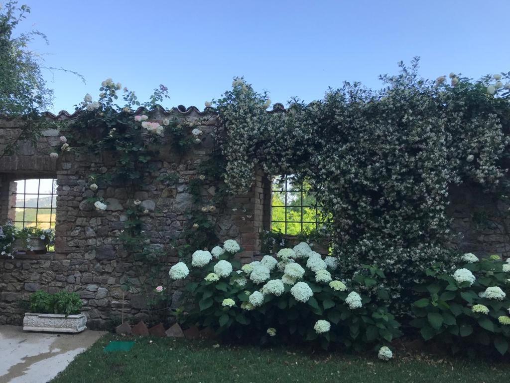 מלון Sismano Il Borgo Di Olive מראה חיצוני תמונה